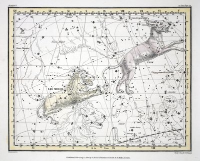 The Constellations (Plate V) Lynx, Leo Minor, from 